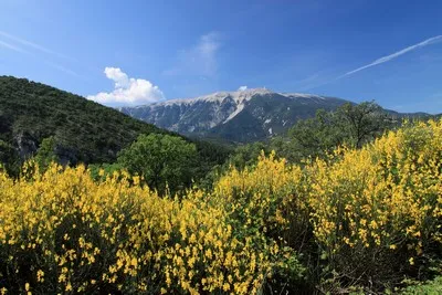 image du Mont Ventoux