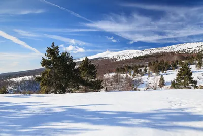 image du Mont Ventoux